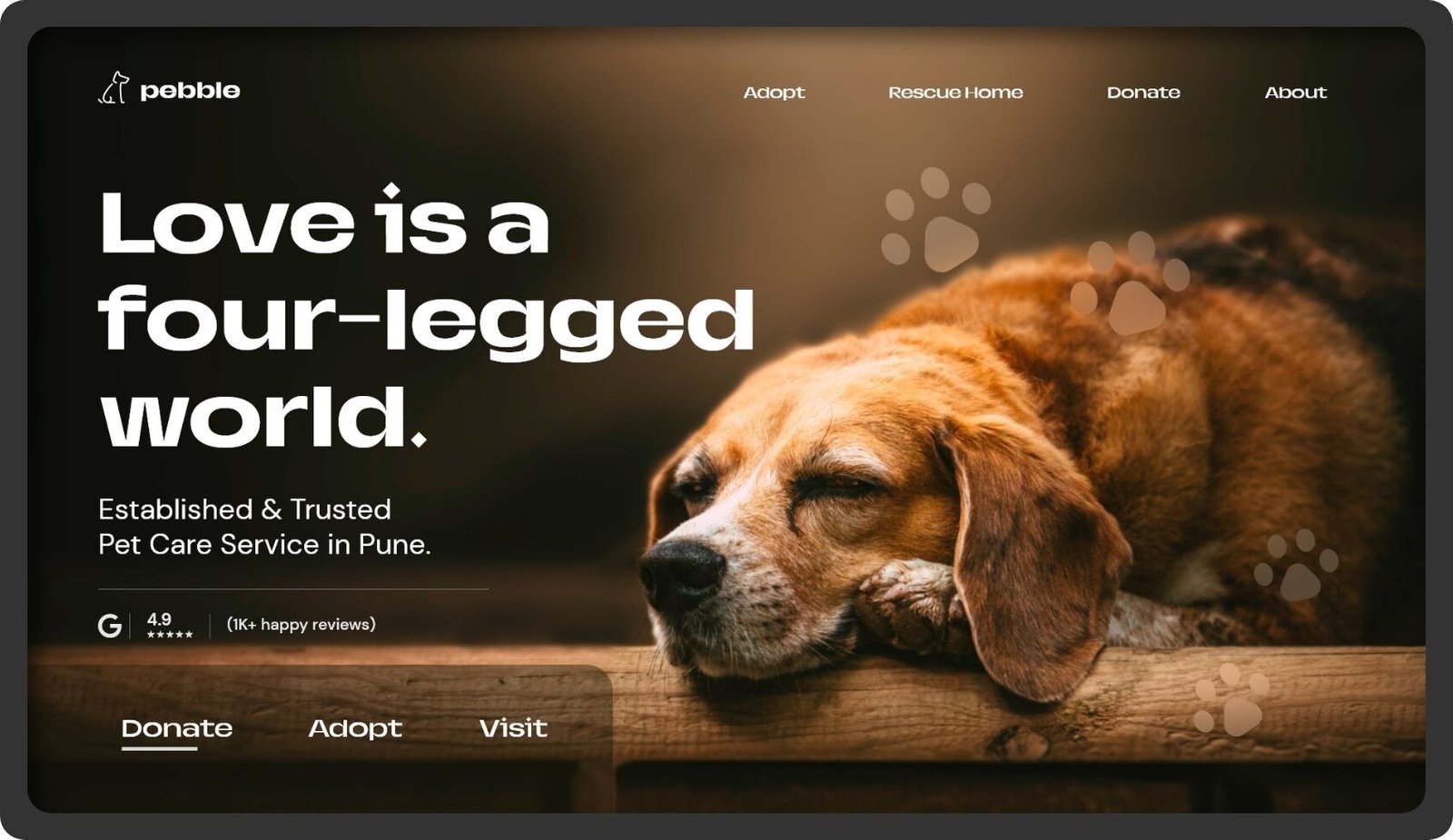 Pet Adoption UI Design