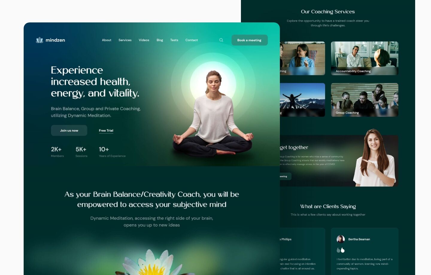 online dynamic mediation coaching website design