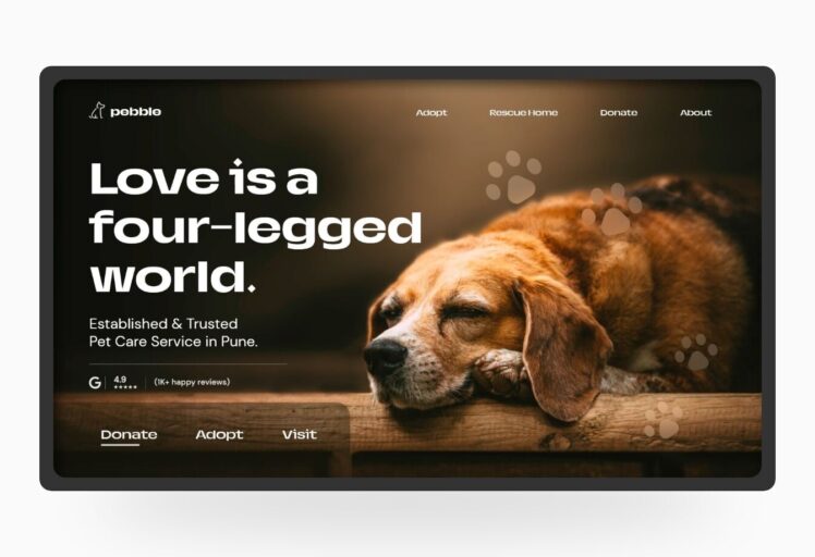 Pet Adoption UI Design