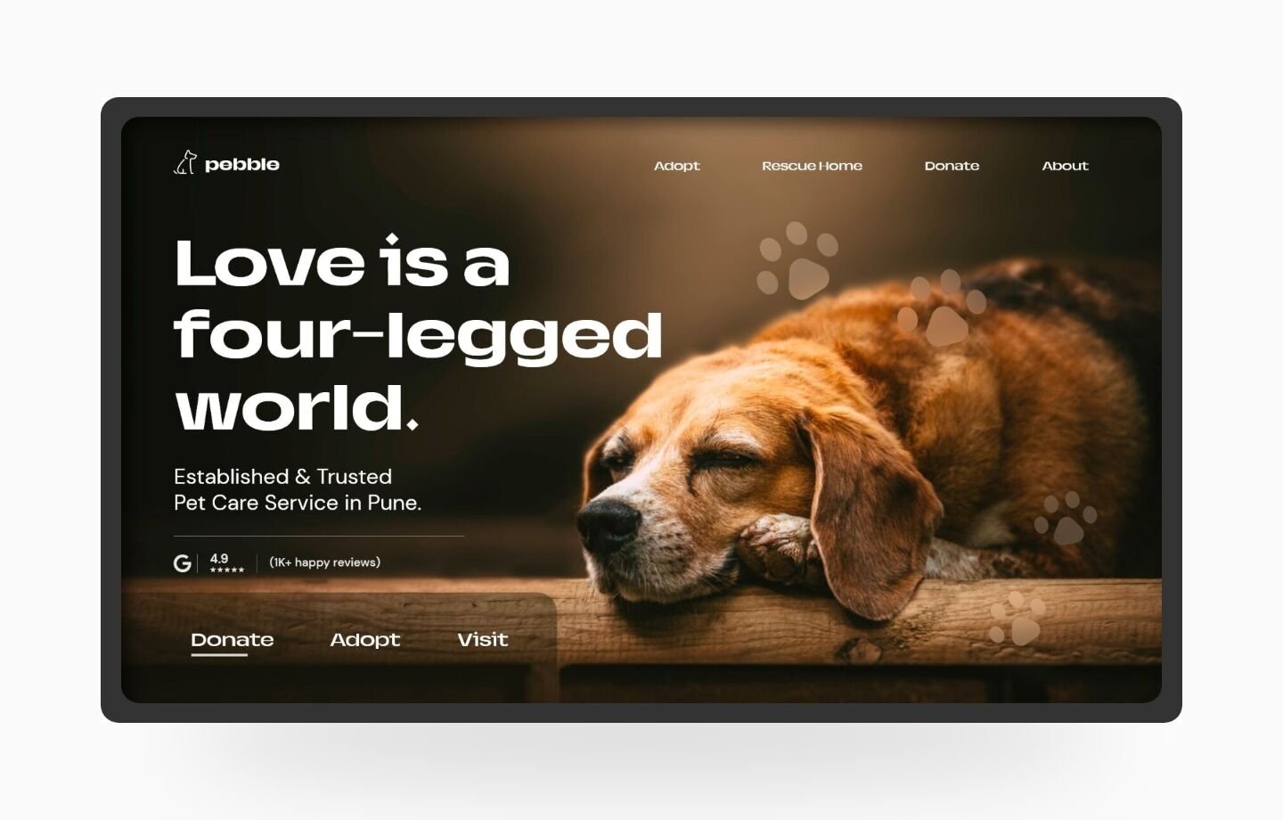 Pet Adoption UI Design